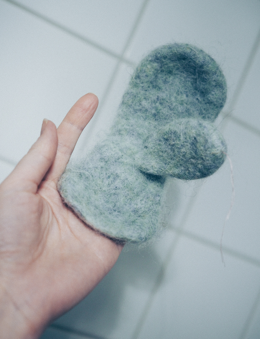 Huutonaurua pesukonehuovutuksen parissa – kuvat kertovat kuinka sujui
